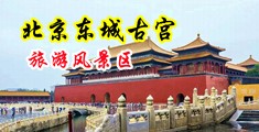 少妇诱惑强奸AA中国北京-东城古宫旅游风景区